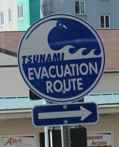 Tsunami